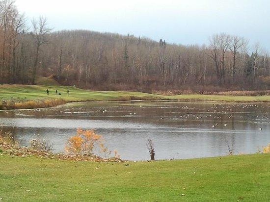 River Ridge Golf Country Club